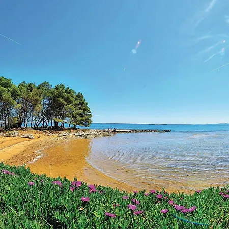 In With Wifi Apartman