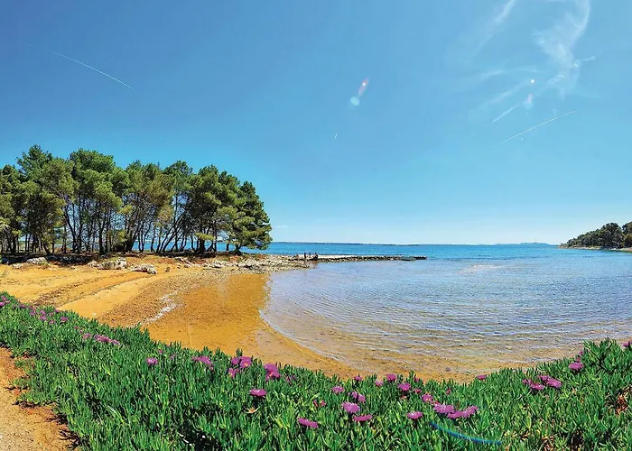 In With Wifi Apartman